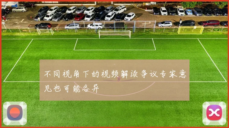不同视角下的视频解读争议专家意见也可能各异